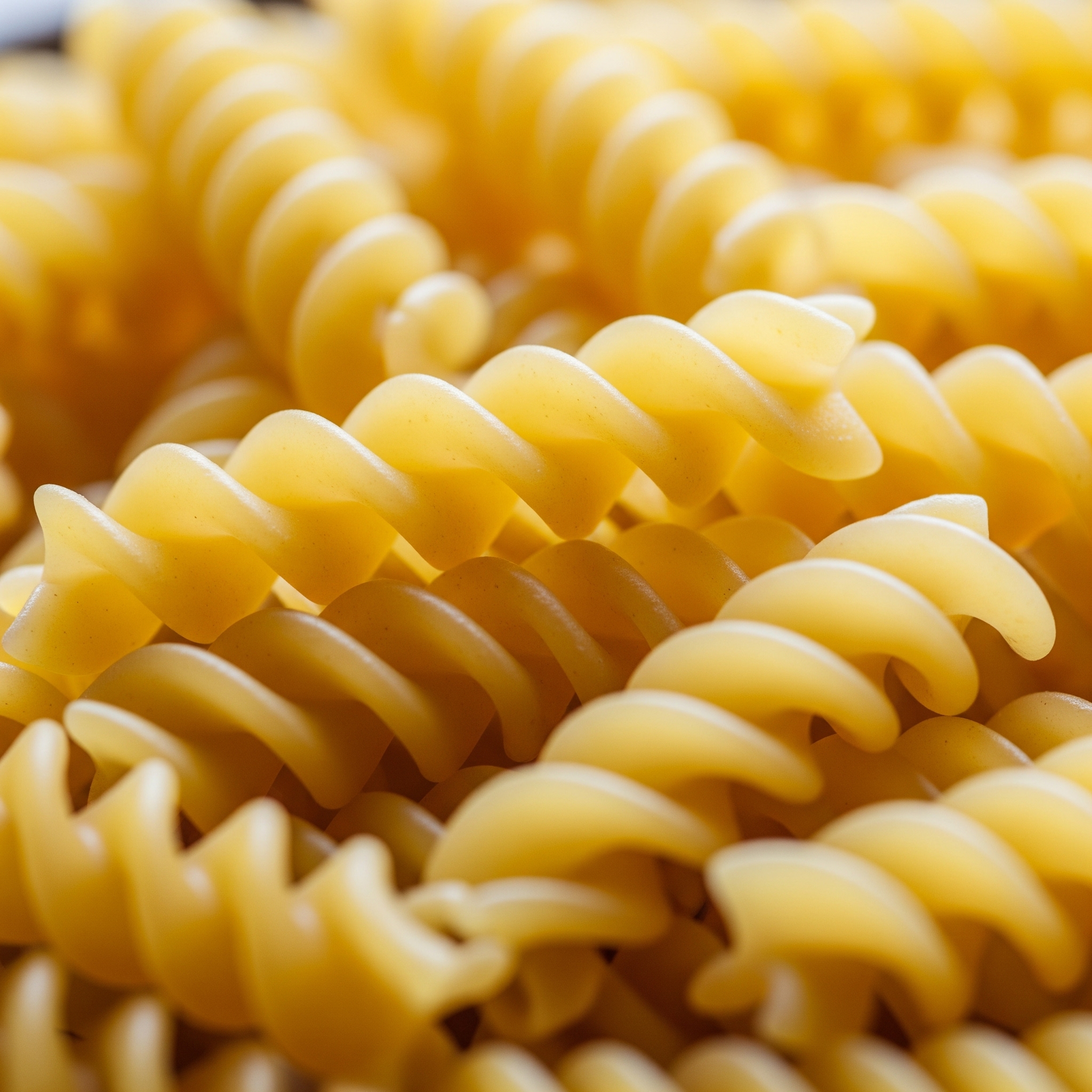 Rotini Pasta